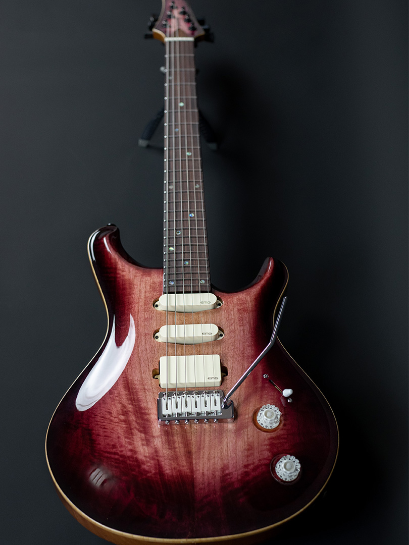 "Pro Series" Washed Velvet Burst Danphe